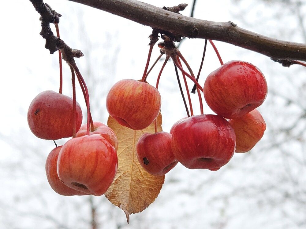 Photograph by Юлия Ковалева