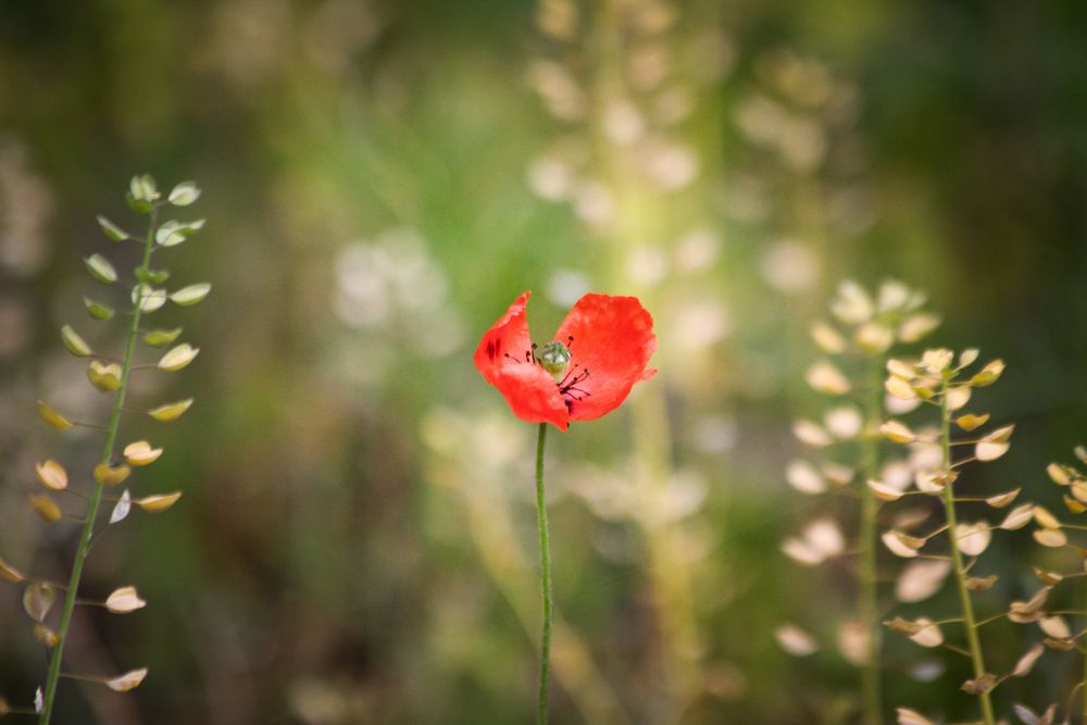 Photo #13419176