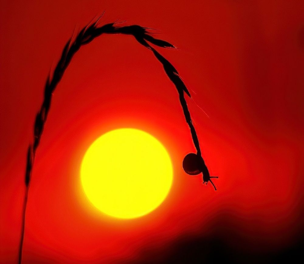 Photograph by Владимир