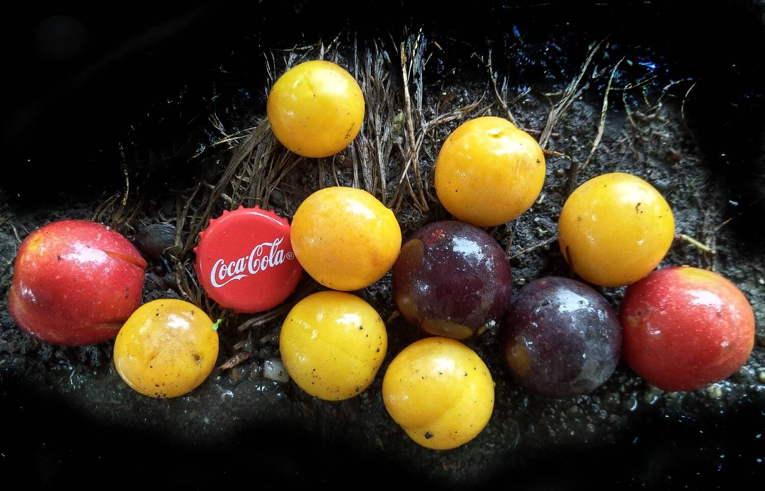 Кока-Кола / Coca-Cola