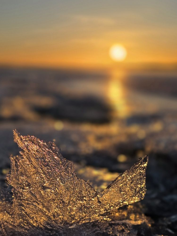Photograph by Инна Савичева