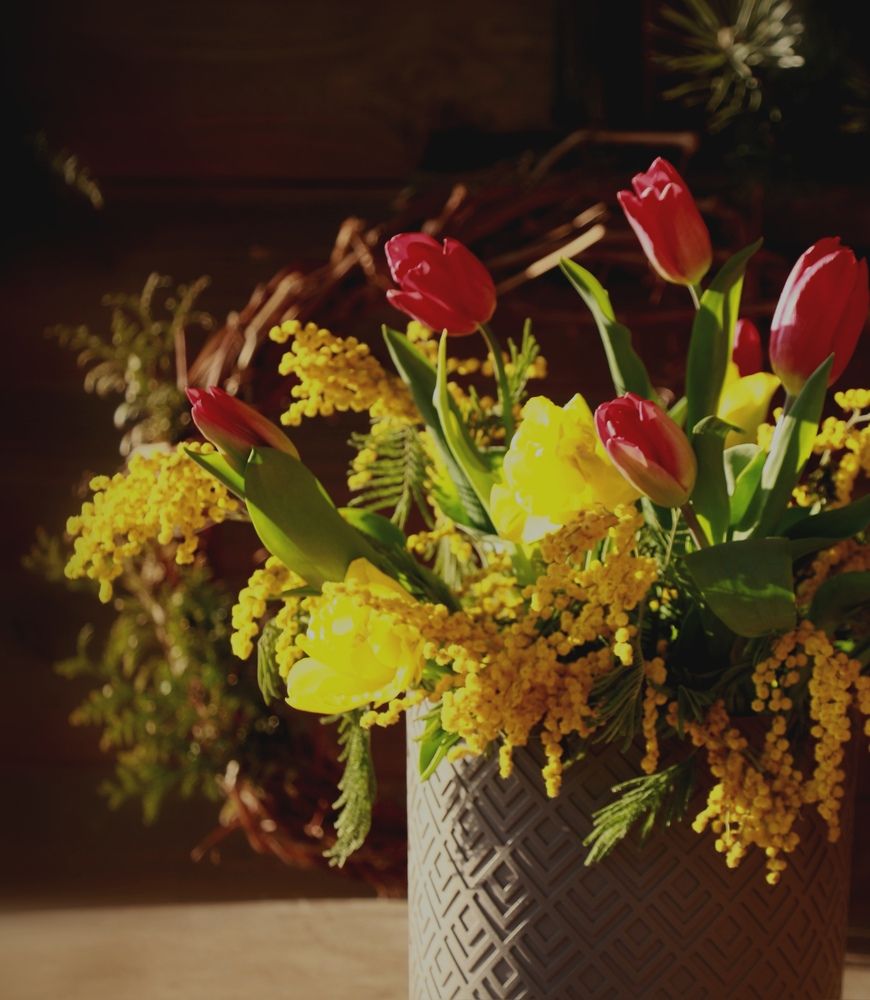 Photograph by Ольга