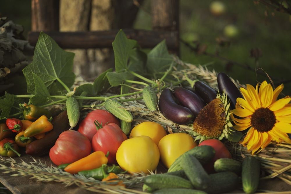 Photograph by Ольга