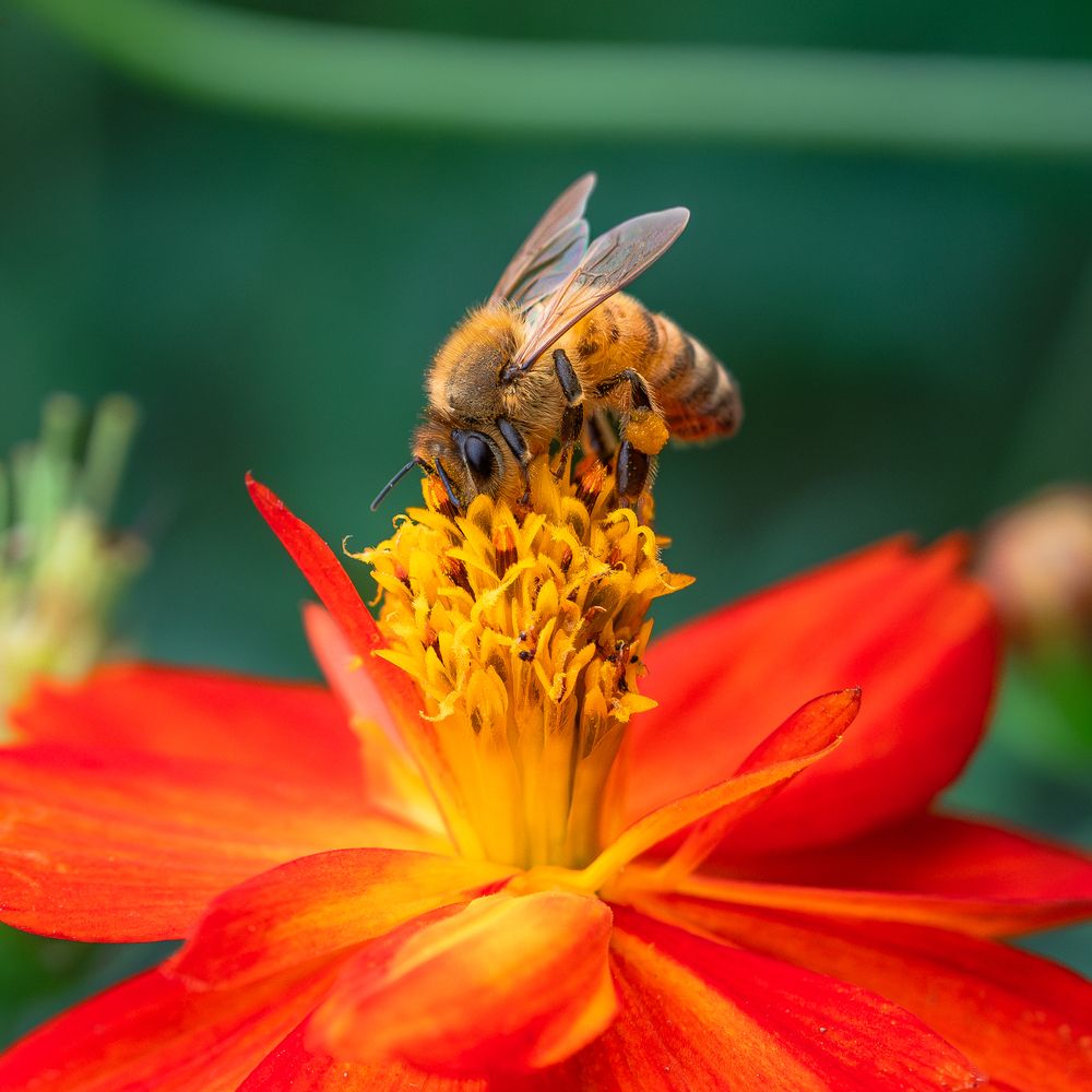 Фотография автора Suzuki Ryuta