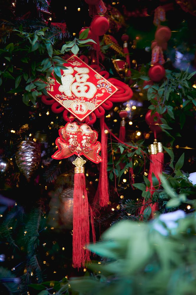 Фотография автора Александр Жданов