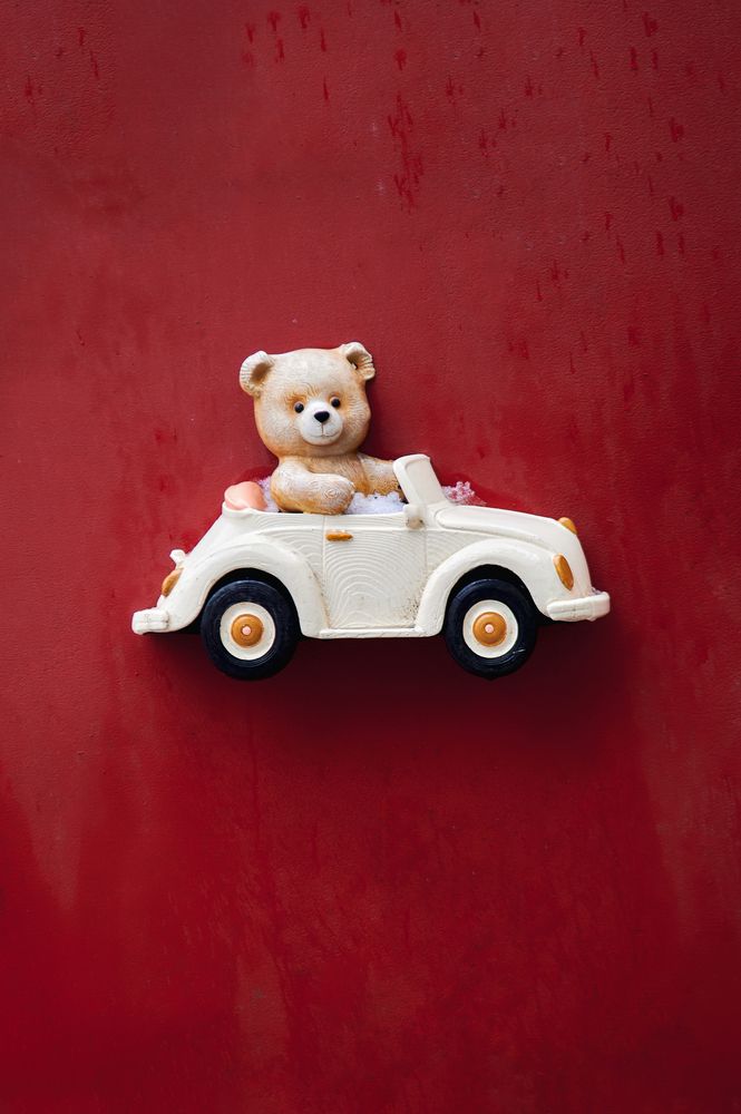 Фотография автора Александр Жданов