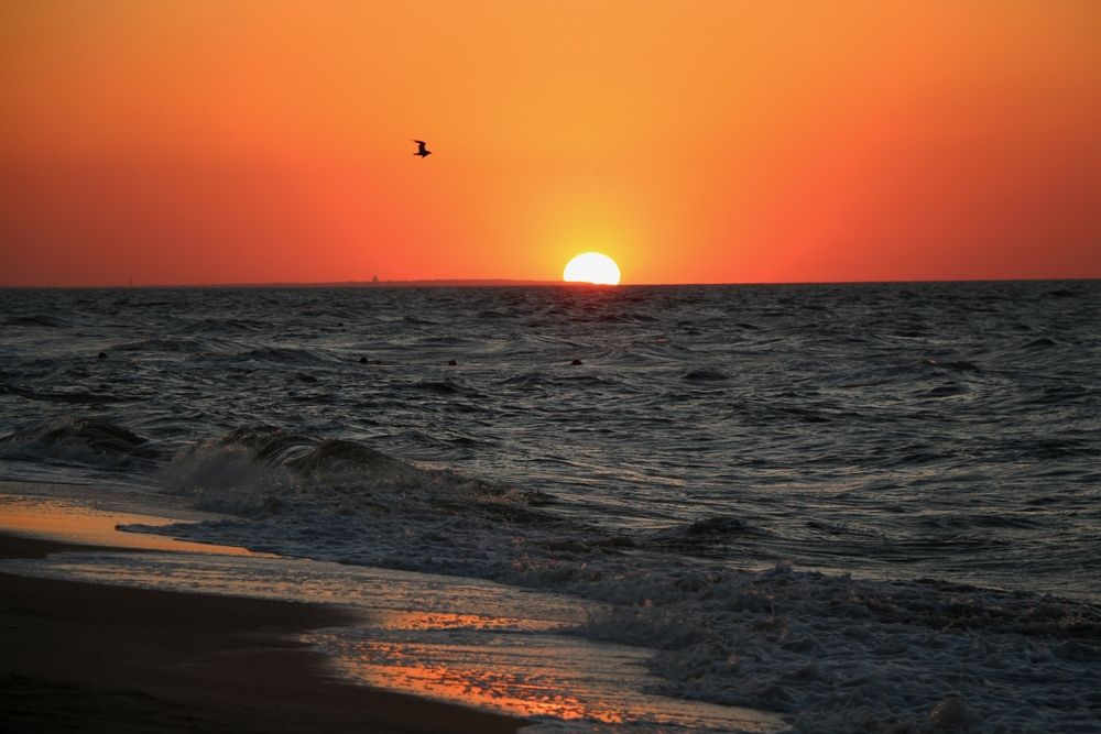 Photograph by Ольга