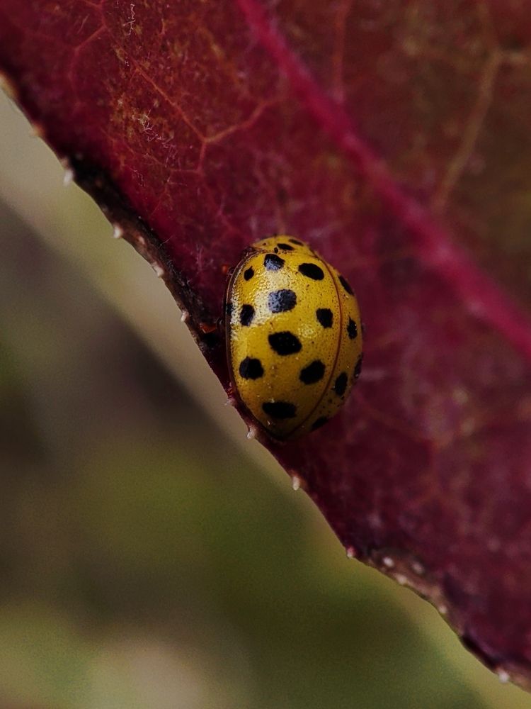 Photograph by Ирина Строкова