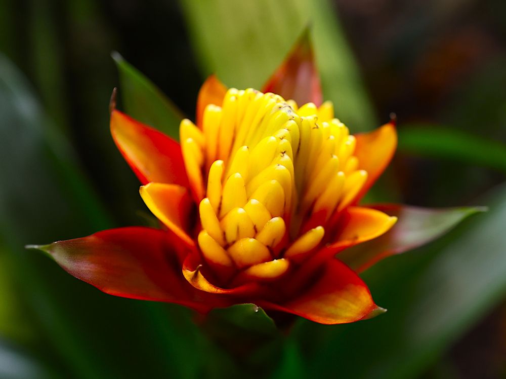 Photograph by Гагик Саркисян