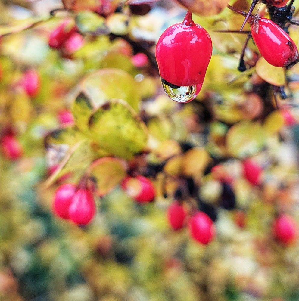 Photograph by Екатерина Баклыкова