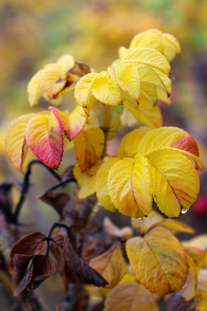 Фотография автора Татьяна Сычёва