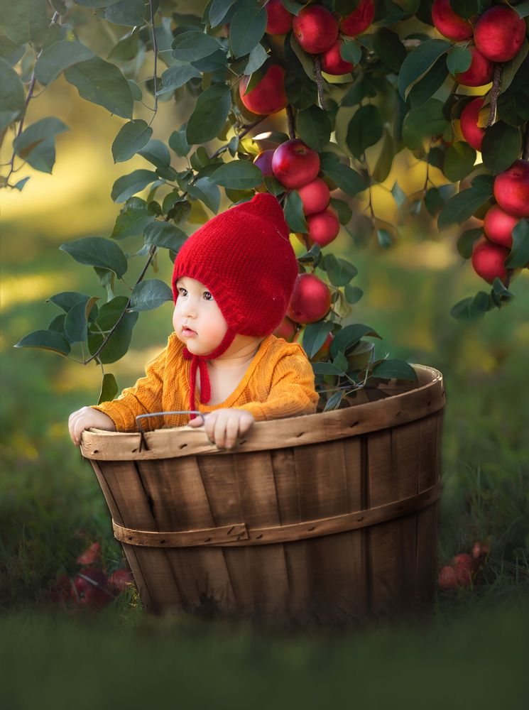 Фотография автора Archana Singh