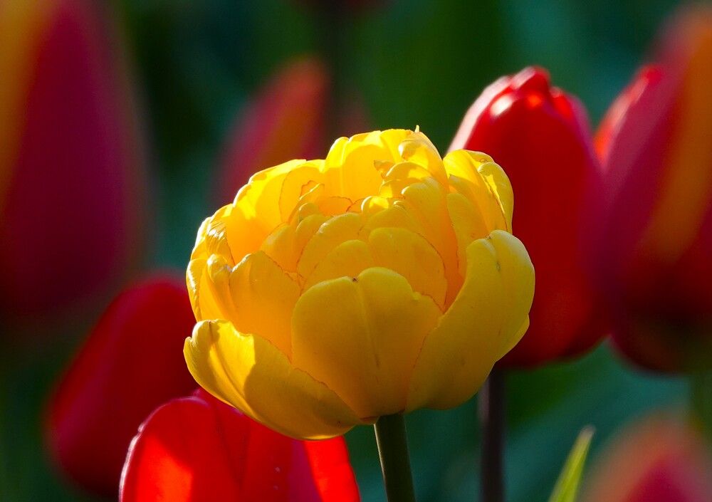 Фотография автора Zakharov Matvey