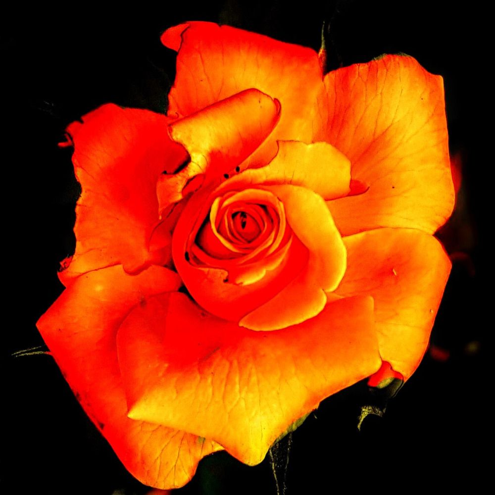 Photograph by Stefano Conte