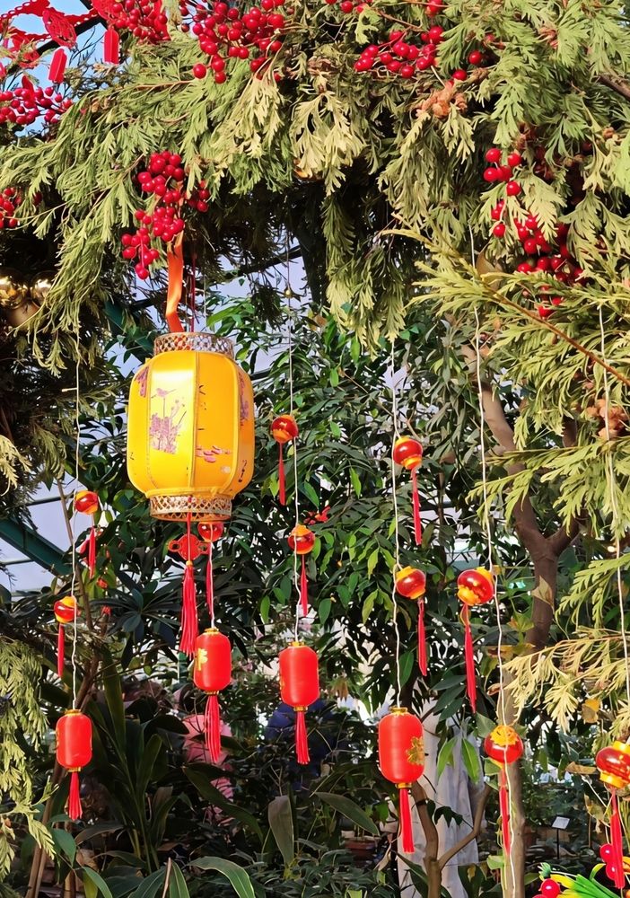 Photograph by Юлия Холомцева