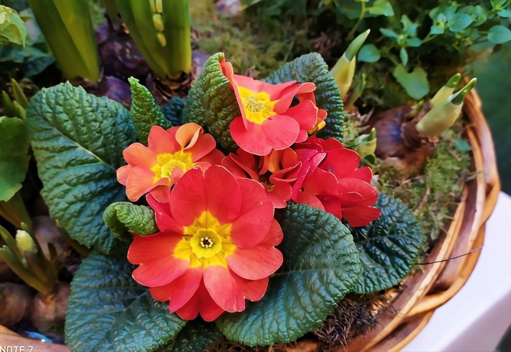 Photograph by Юлия Холомцева