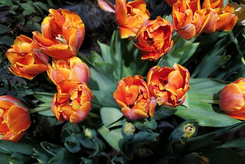 Photograph by Юлия Холомцева