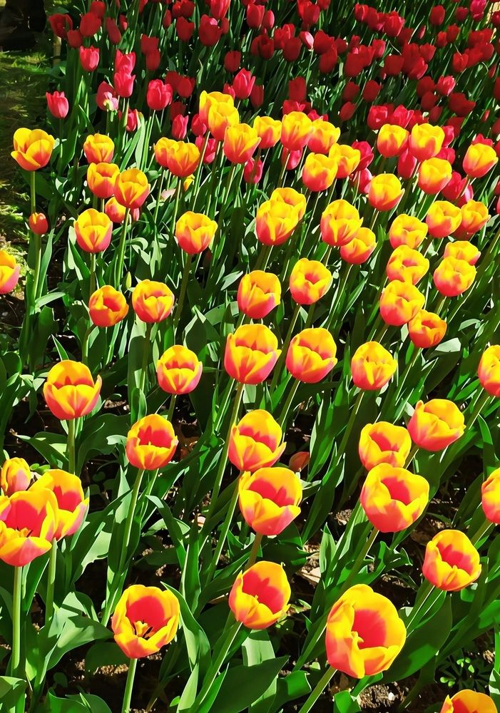 Photograph by Юлия Холомцева