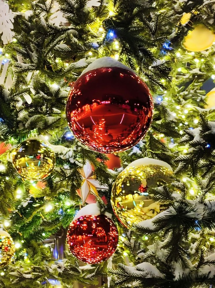 Photograph by Юлия Холомцева