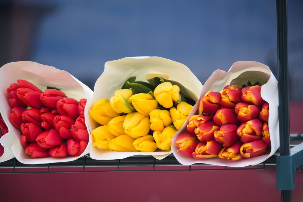 Фотография автора Алексей Борисов