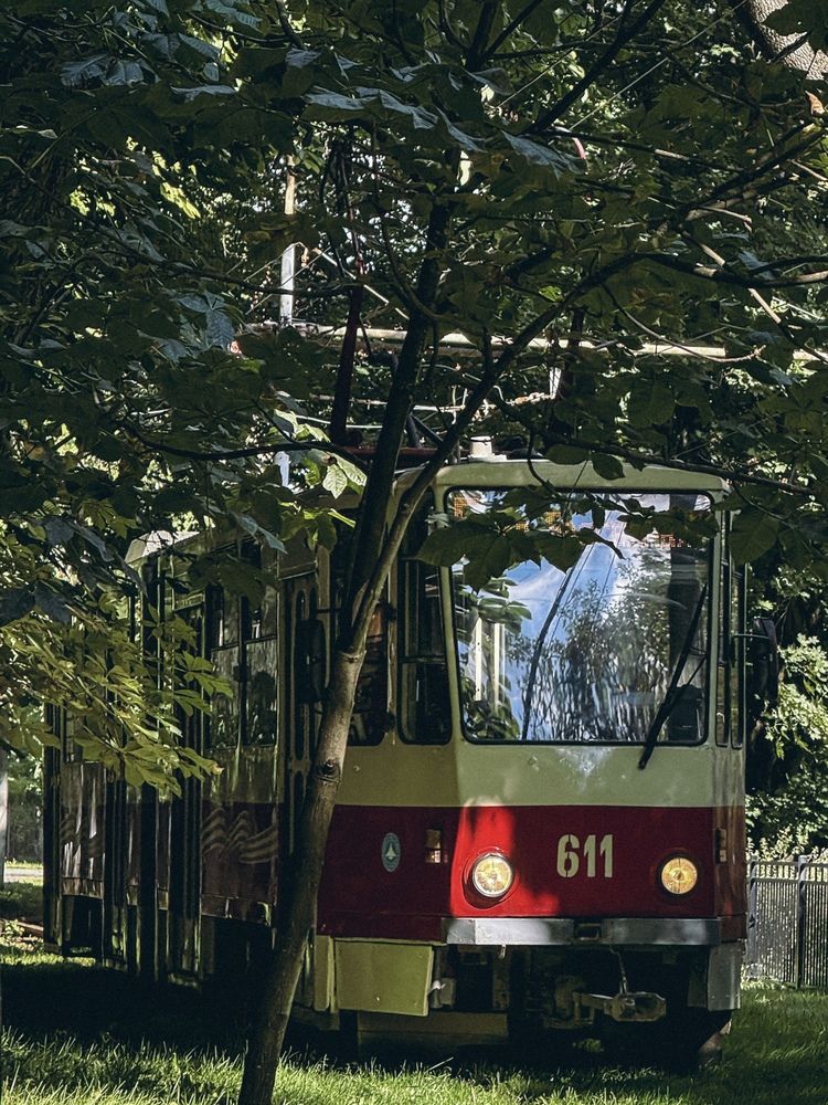 Photograph by Elena Menshikova