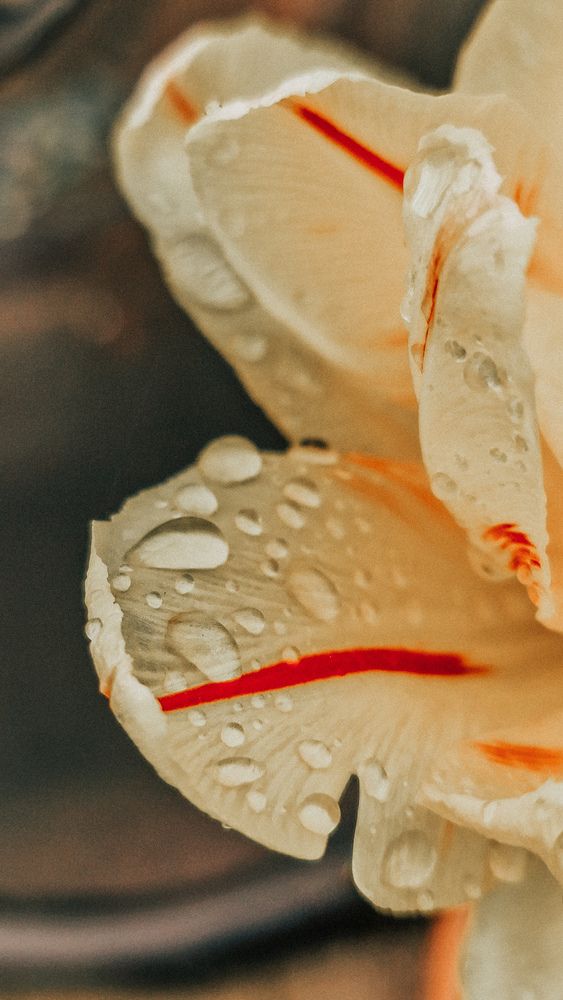 Photograph by Юлия Киш