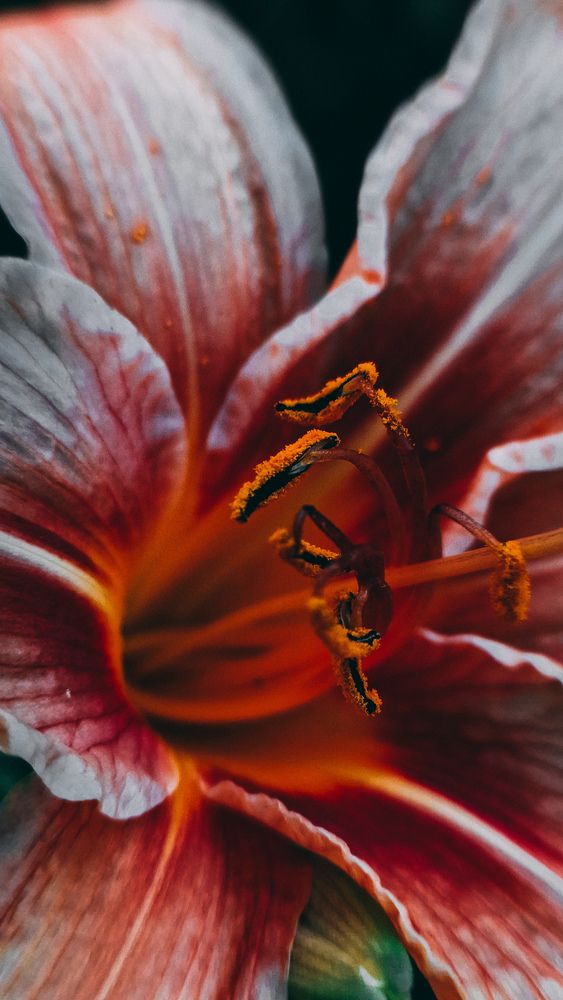 Photograph by Юлия Киш