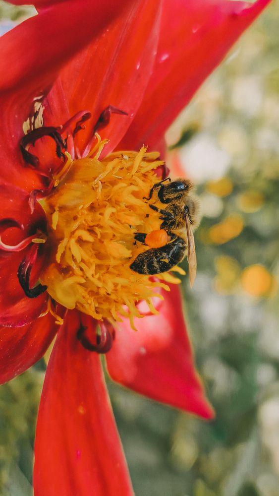 Photograph by Юлия Киш