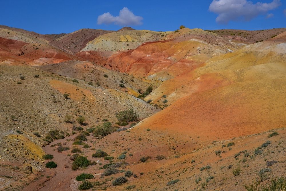 Photograph by Ксения Лычак