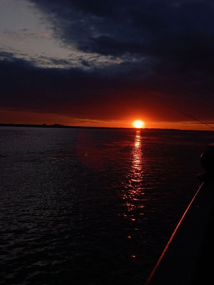 Photograph by Алина Рослякова