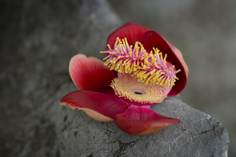 Фотография автора Светлана Зимина