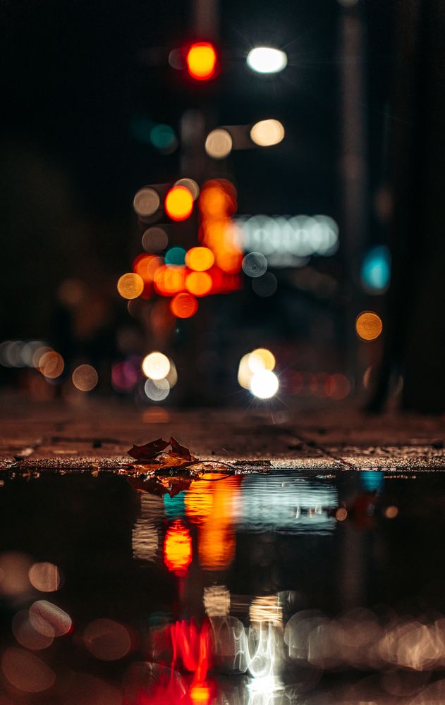 Photograph by Diony Alexander Sánchez Estevez