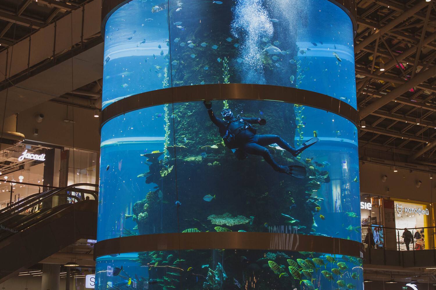 Фотография #13419548