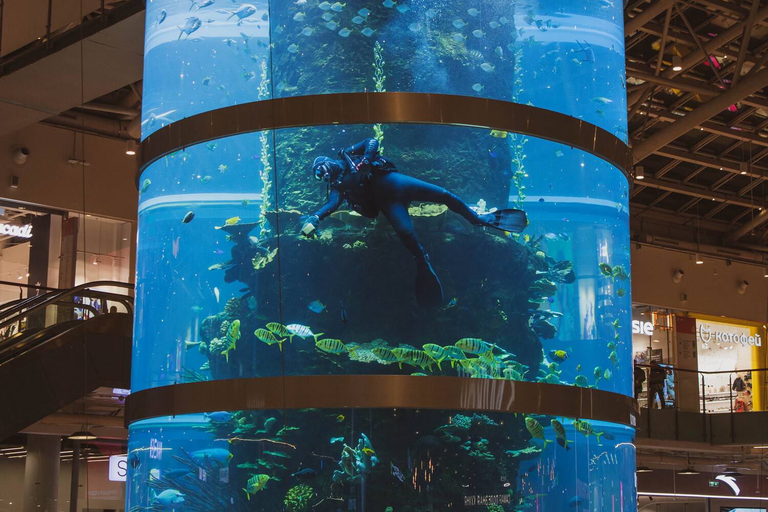 Фотография #13419550