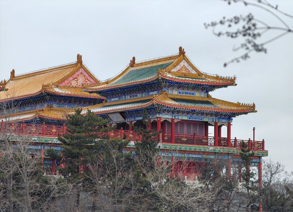 Photograph by Игорь Крыжко