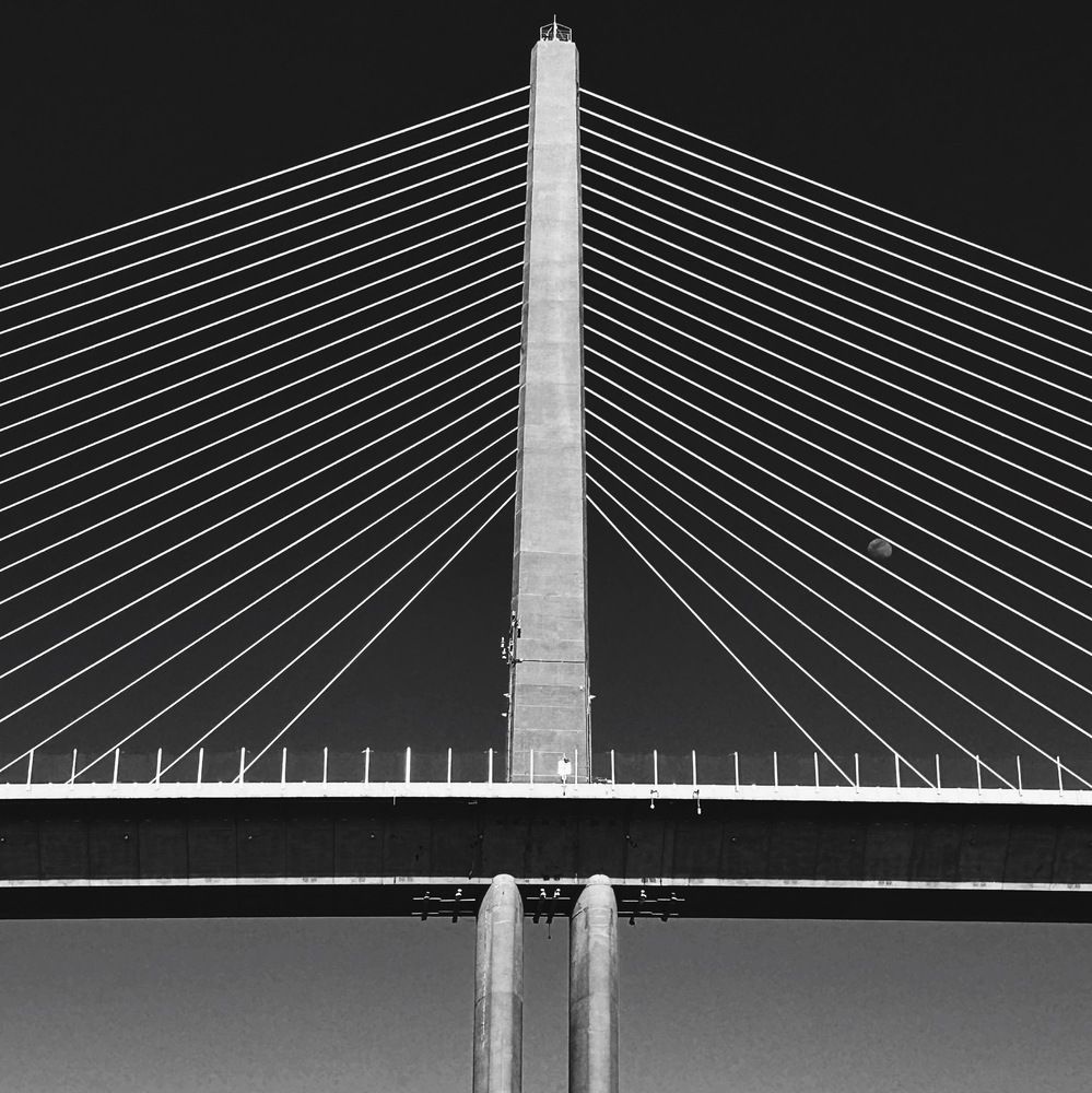 Photo #13419634