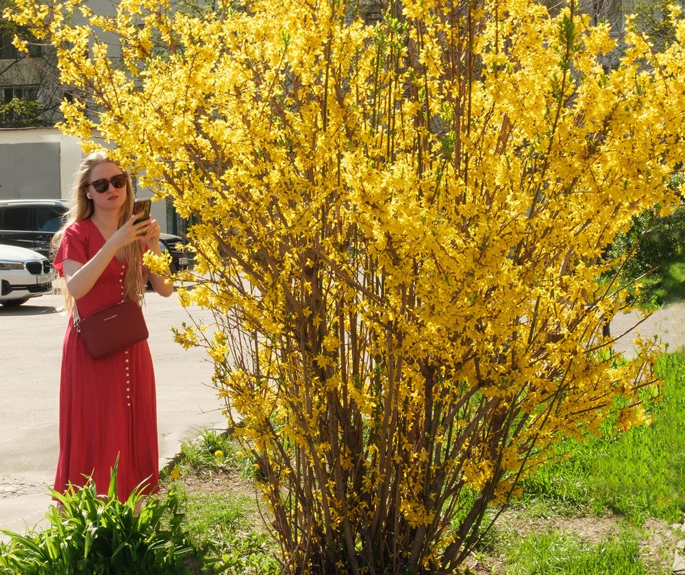 Фотография автора Наталья Липовская