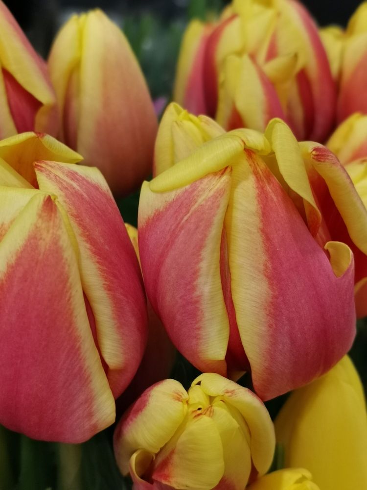 Photograph by Любовь Лунина