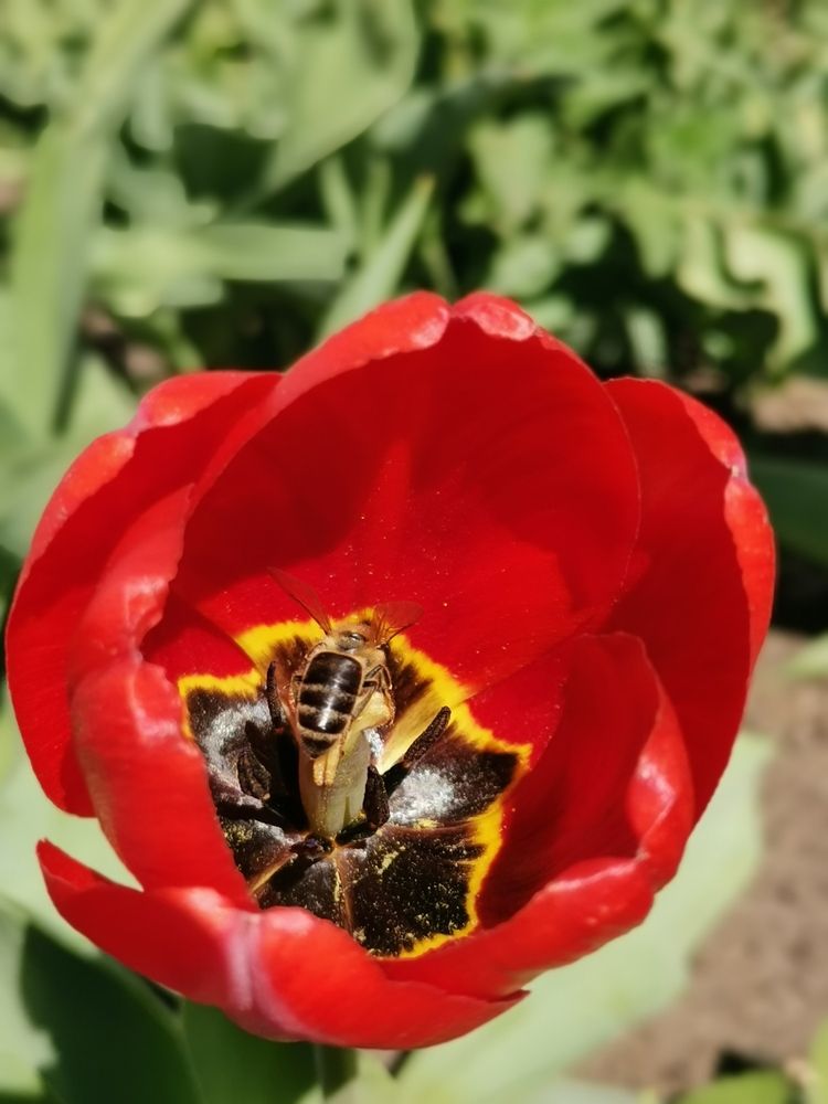 Photograph by Любовь Лунина