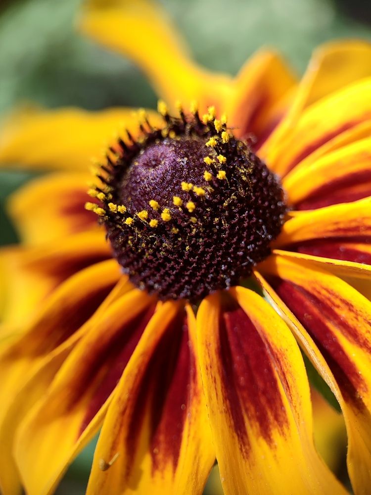 Photograph by Ирина Строкова