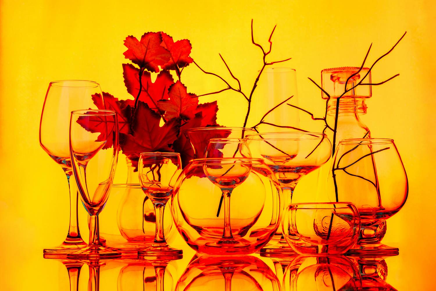 Фотография #13419689