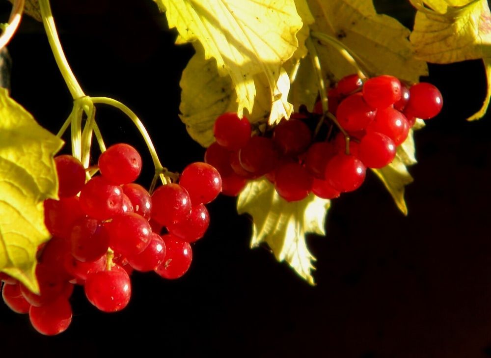 Photograph by Роман Савоцкий