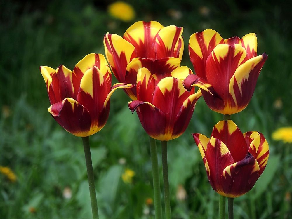 Photograph by Роман Савоцкий