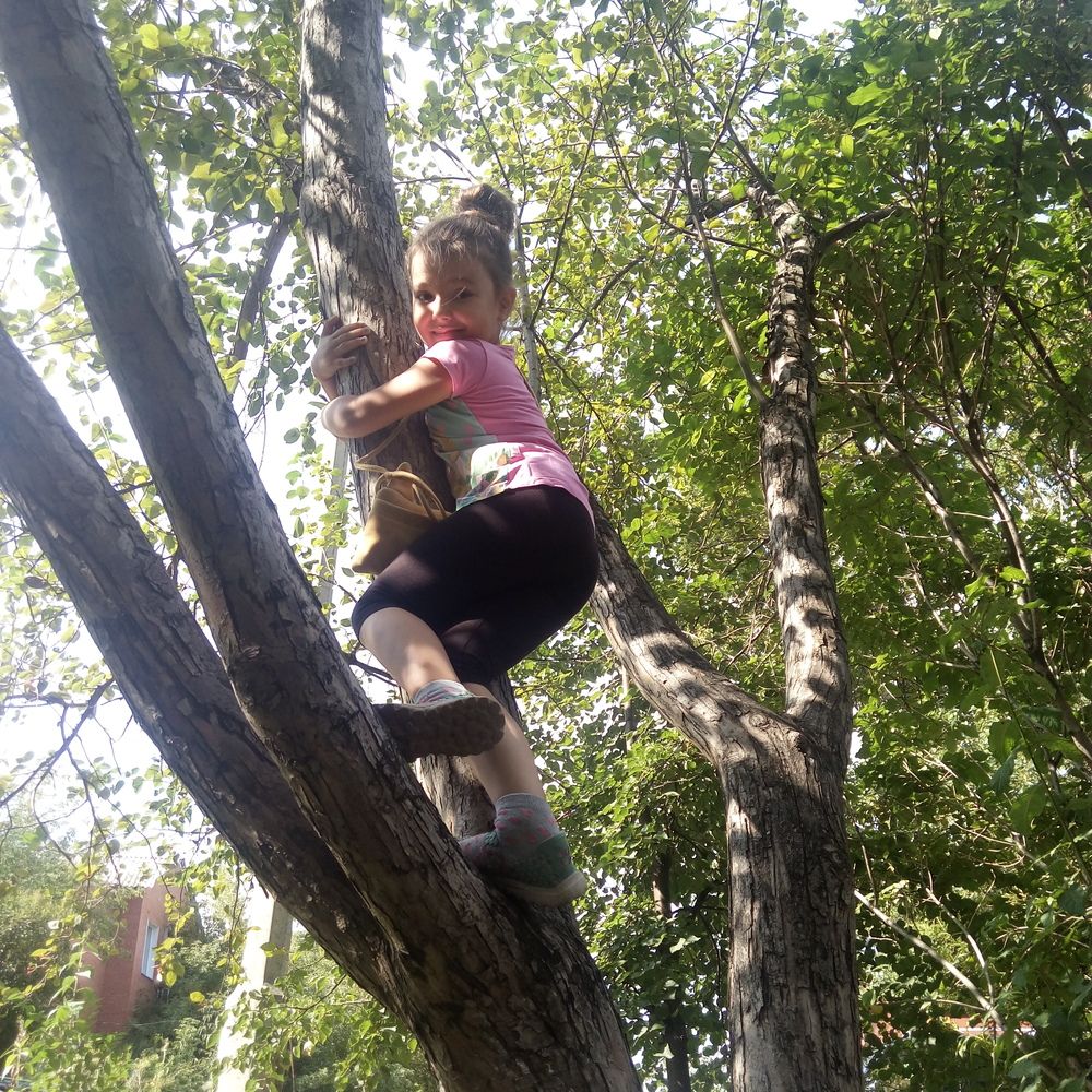 лето. маленькое приключение