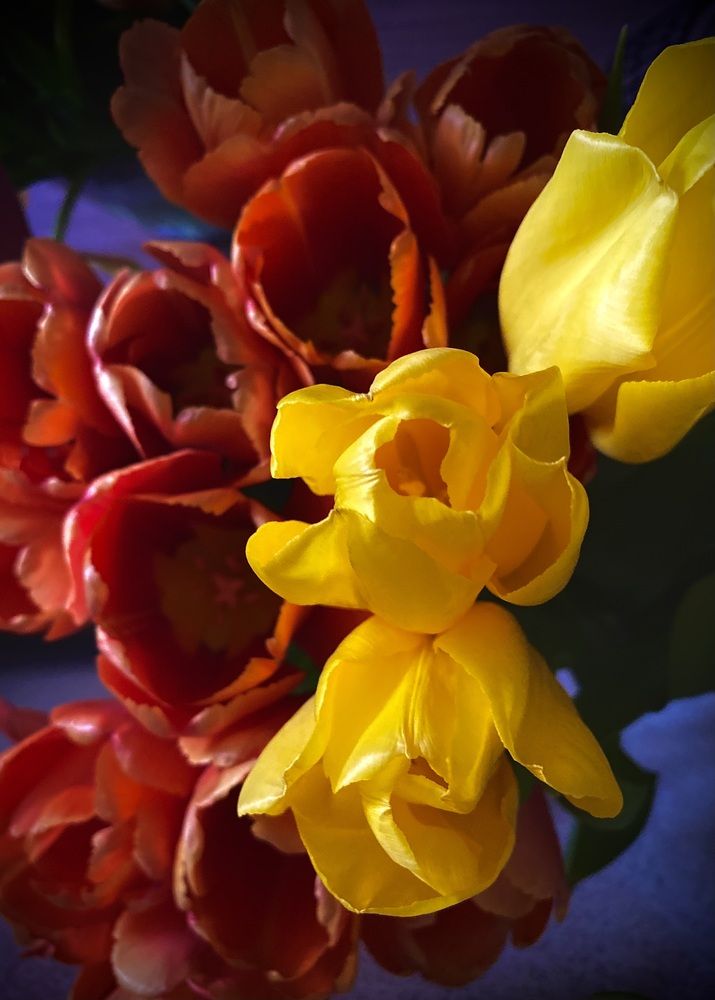 Photograph by Алиса Лукина