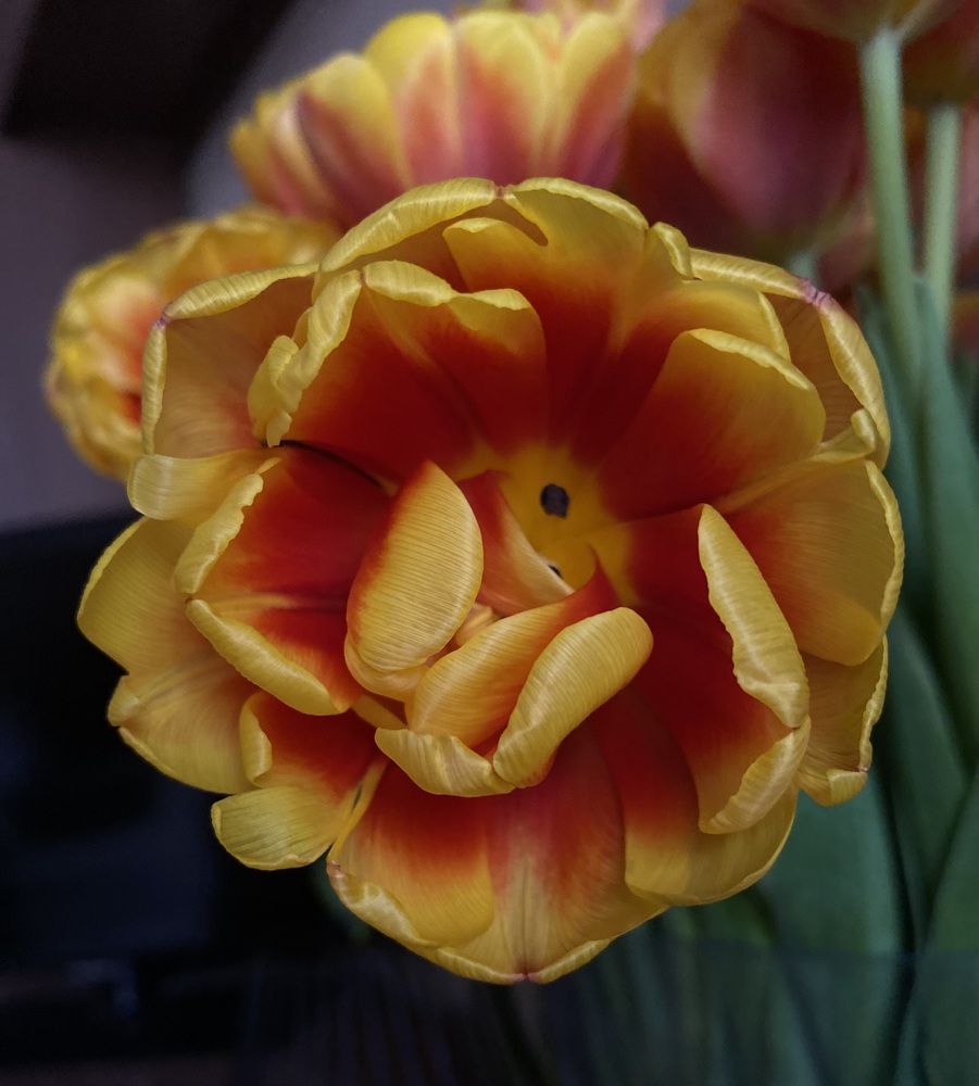 Photograph by Алиса Лукина