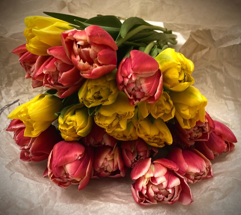 Photograph by Алиса Лукина