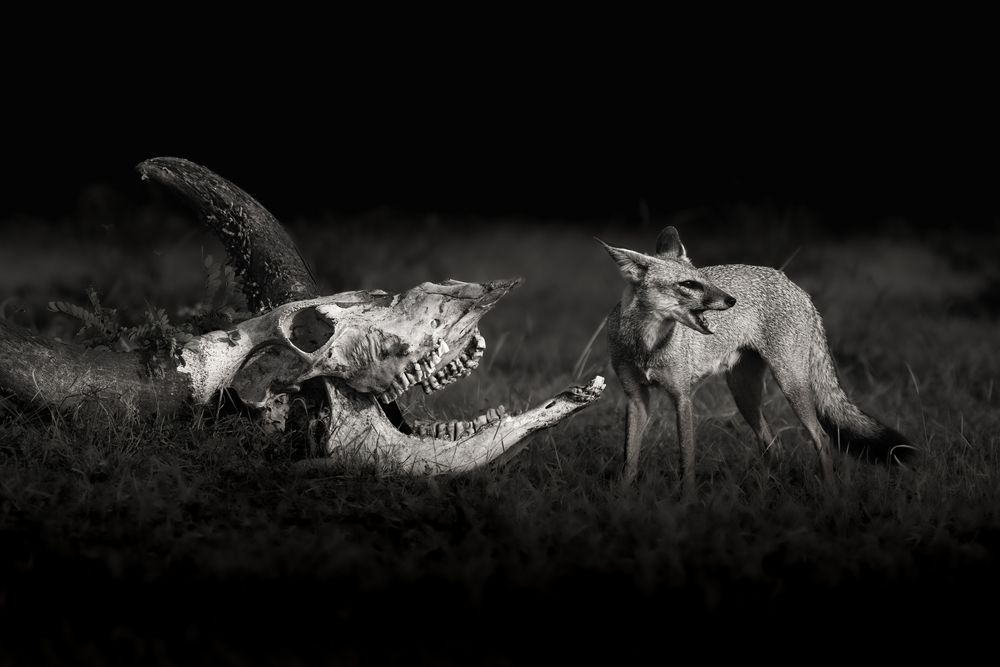 Bone and breath sharing the same ground.