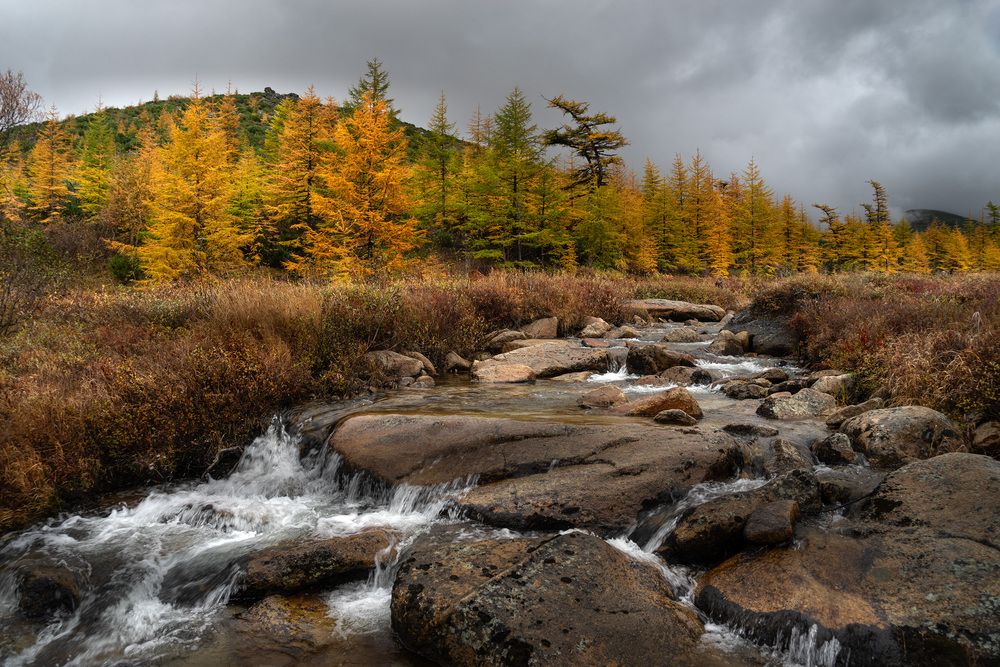 Photograph by Светлана Гореликова
