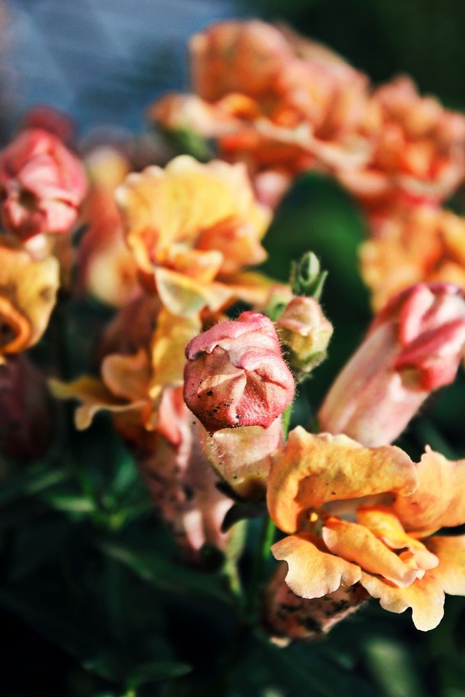 Photograph by Дарья Чертенкова